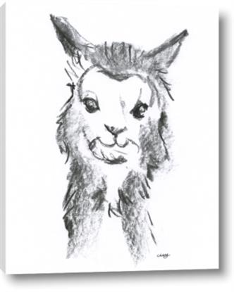 Picture of Llama