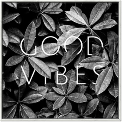 Picture of Good Vibes VII