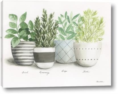 Picture of Pots With Flower