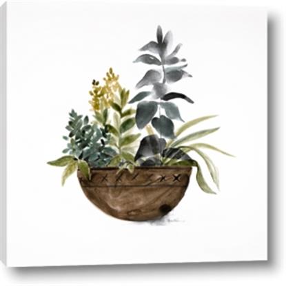 Picture of Plant Bowl