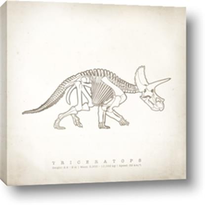 Picture of Learning Triceratops