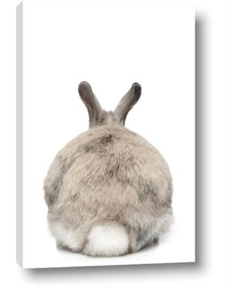 Picture of Behind Bunny