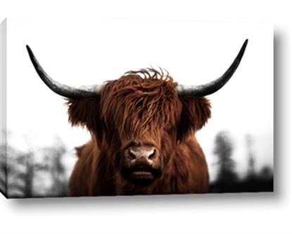 Picture of Brown Cow II