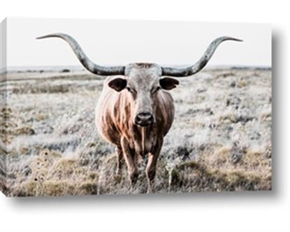 Picture of Longhorn Bull II