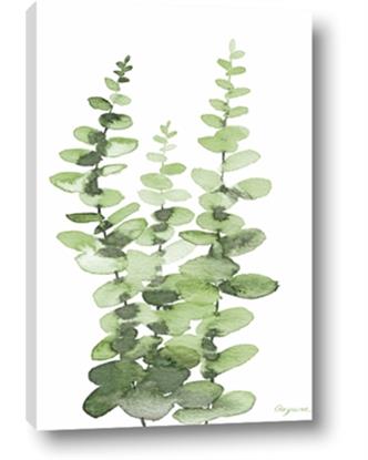 Picture of Green Eucalyptus I