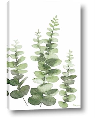 Picture of Green Eucalyptus II