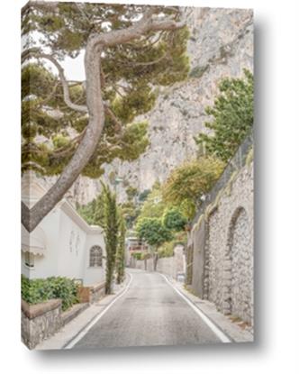 Picture of Cobbled Streets in Spring