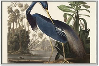 Picture of Vintage Heron Bird