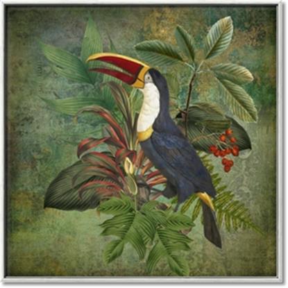 Picture of Tropical Paradise Toucan Bird