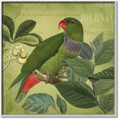 Picture of Vintage Tropical Birds II