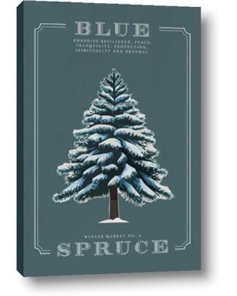 Picture of Blue Spruce